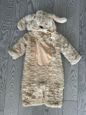 Pottery Barn Kids dog Costume